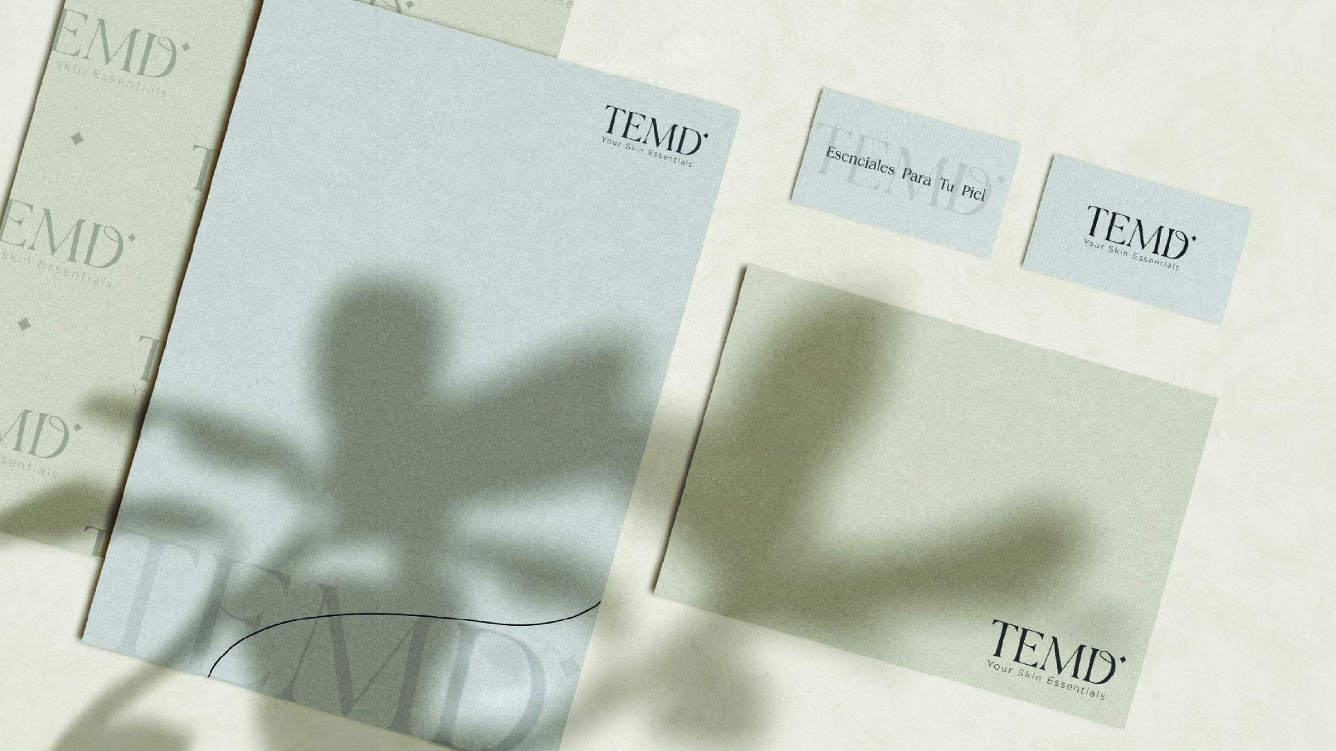 TEMD-Branding-mov-5
