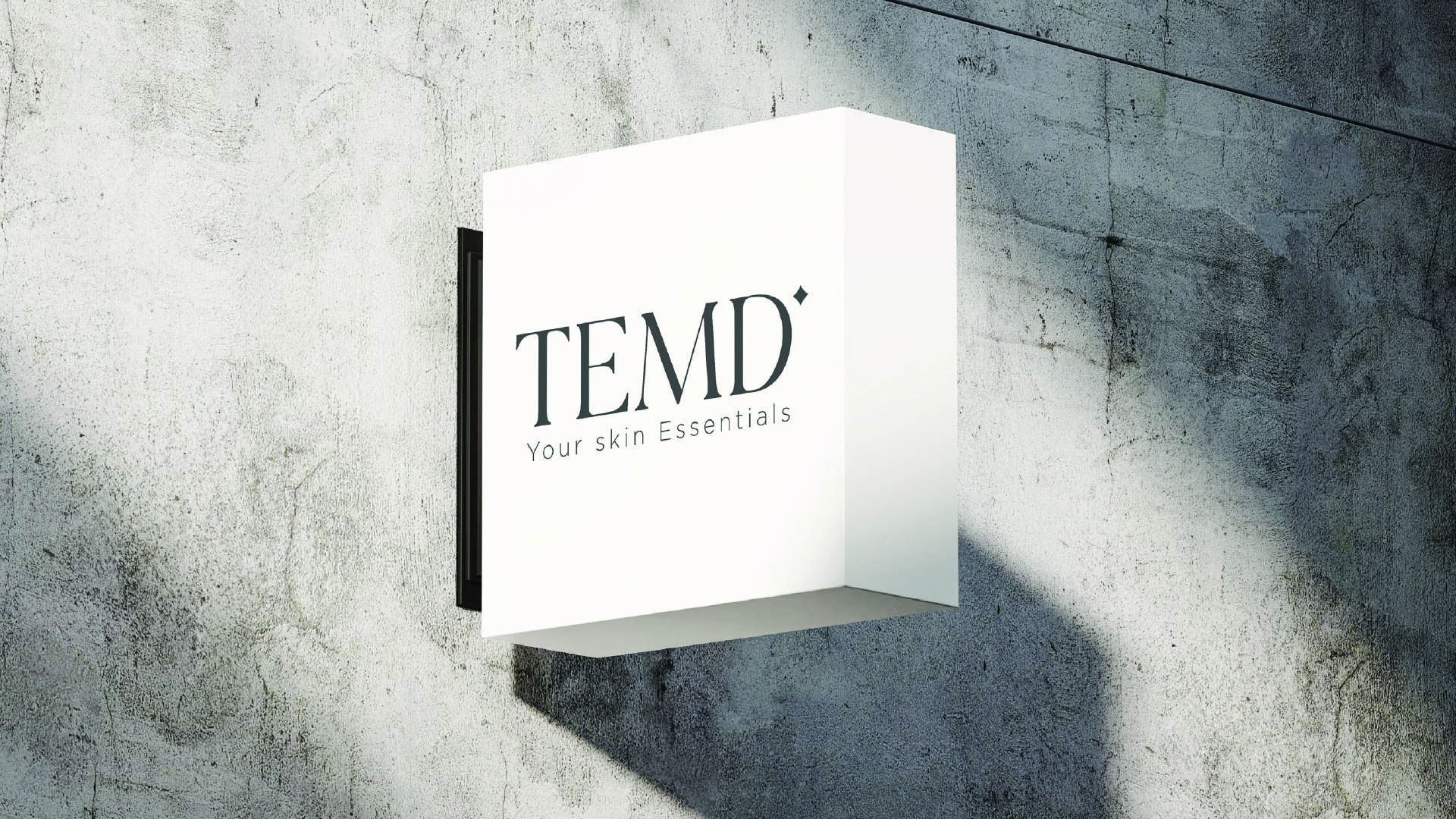 TEMD-Branding-mov-6
