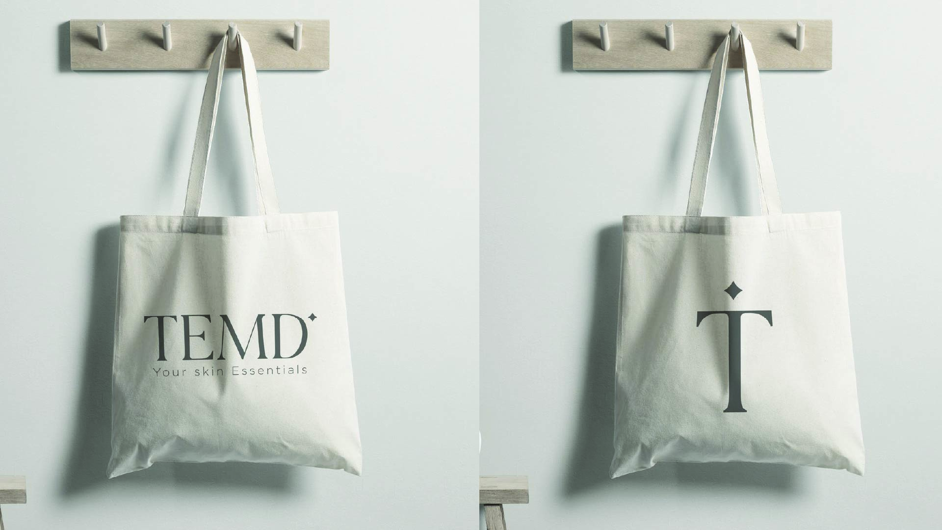 TEMD-Branding-mov-8