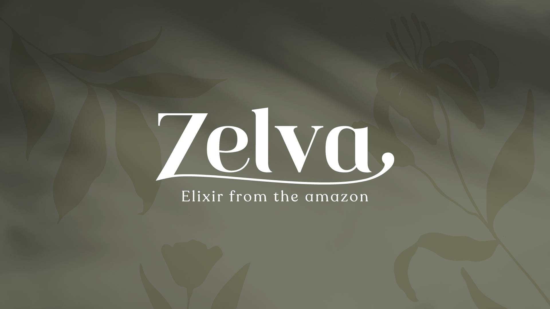 Zelva-Branding-mov-1